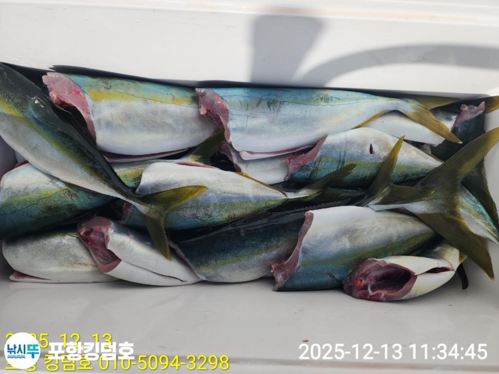 낚시뚜,방어,삼치,영일만항,포항 킹덤호,낚시뚜26
