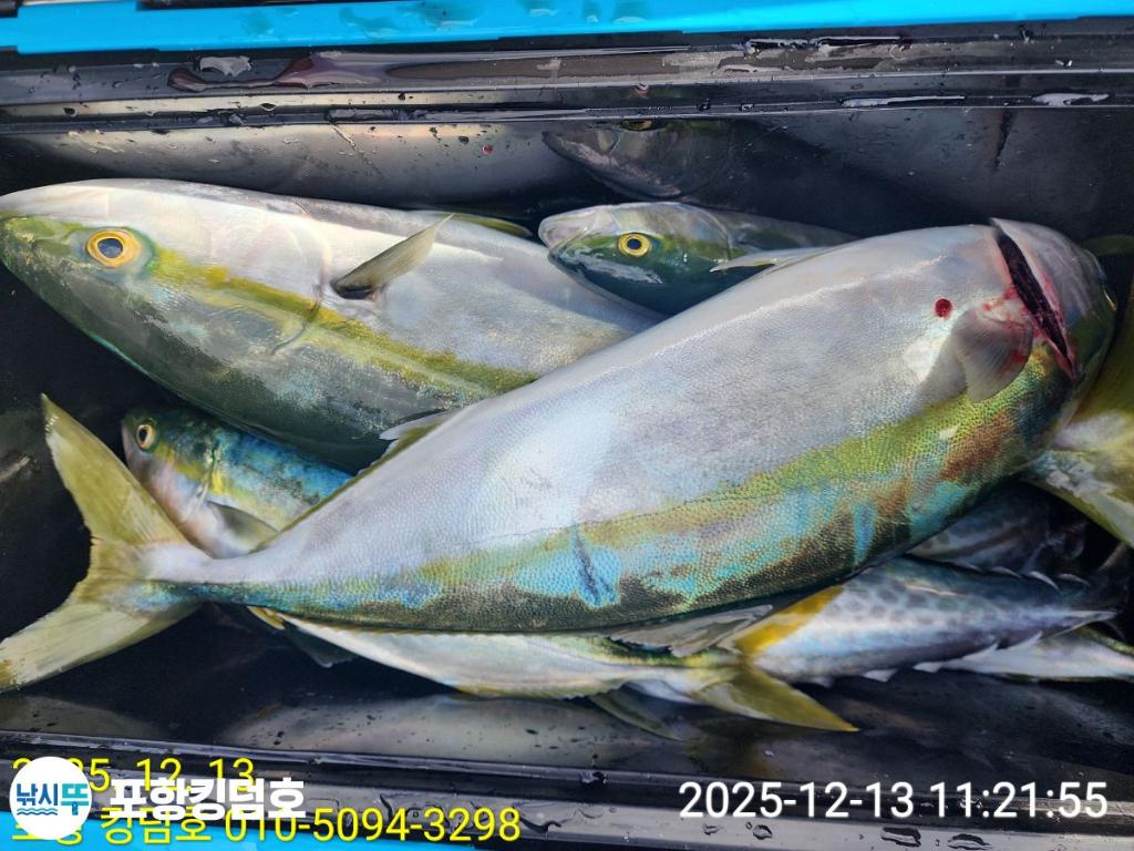 낚시뚜,방어,삼치,영일만항,포항 킹덤호,낚시뚜24