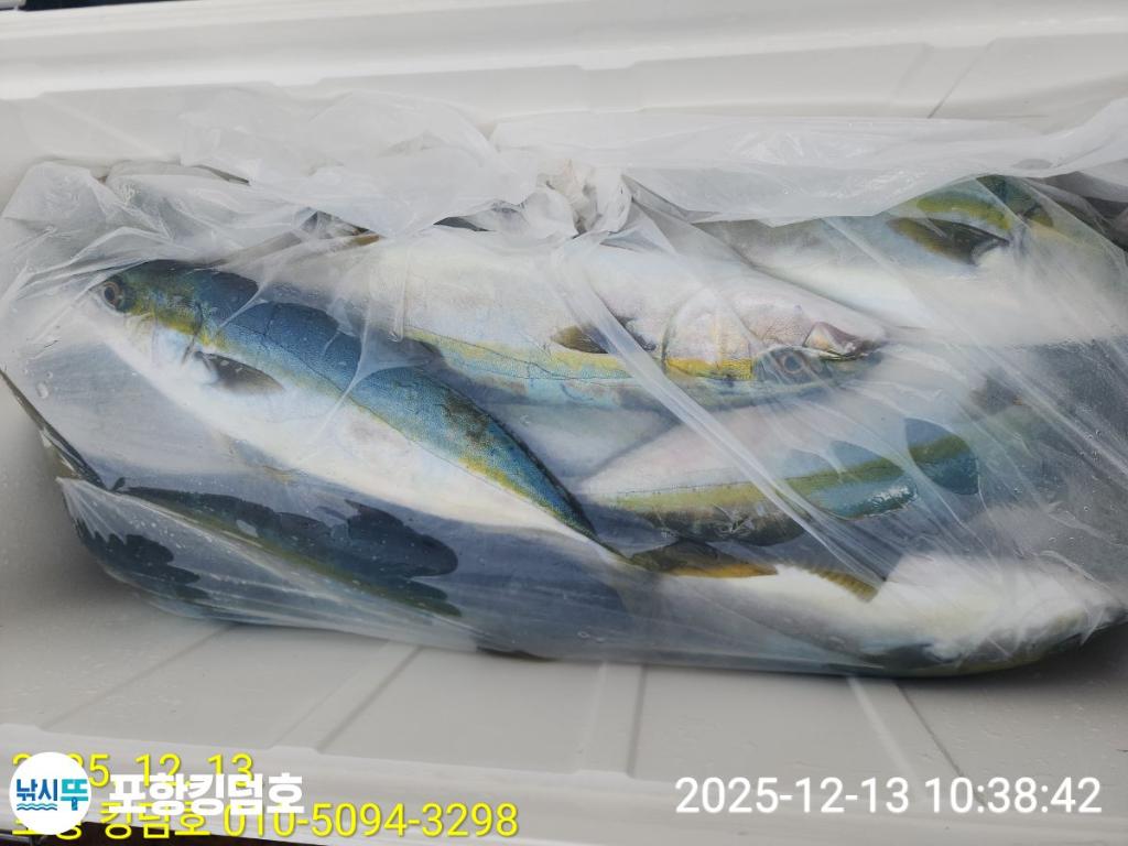 낚시뚜,방어,삼치,영일만항,포항 킹덤호,낚시뚜18