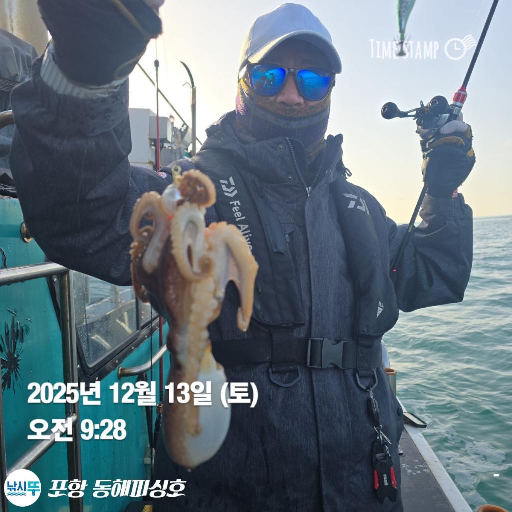 낚시뚜,감성돔,쭈꾸미,포항(운하관),포항 동해피싱호,낚시뚜15