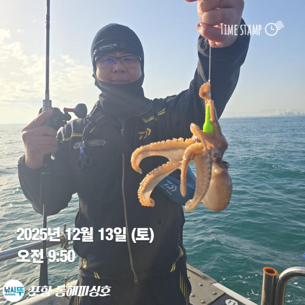 낚시뚜,감성돔,쭈꾸미,포항(운하관),포항 동해피싱호,낚시뚜12