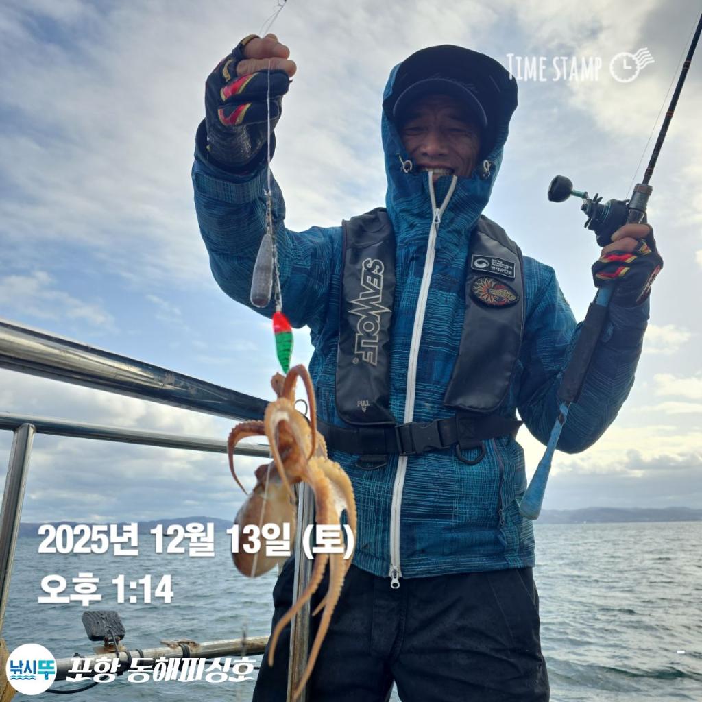 낚시뚜,감성돔,쭈꾸미,포항(운하관),포항 동해피싱호,낚시뚜10