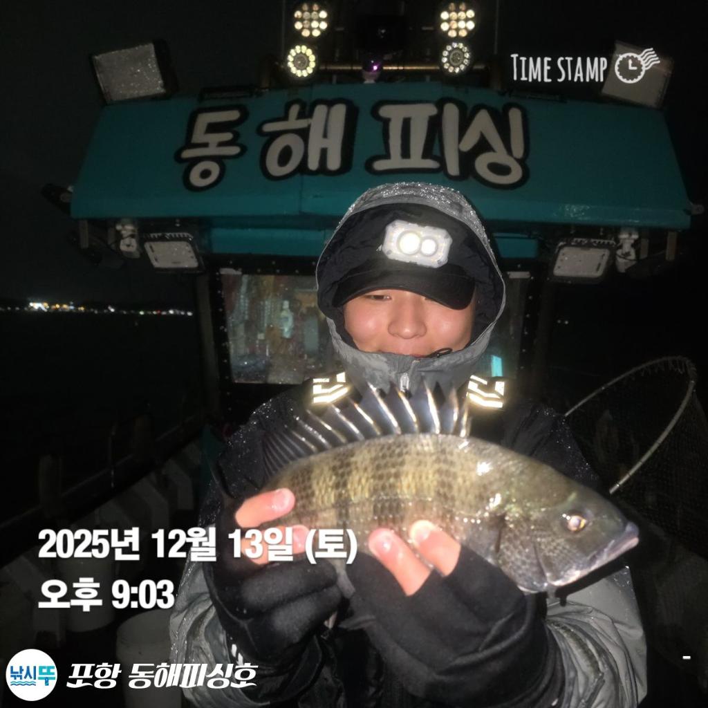 낚시뚜,감성돔,쭈꾸미,포항(운하관),포항 동해피싱호,낚시뚜6