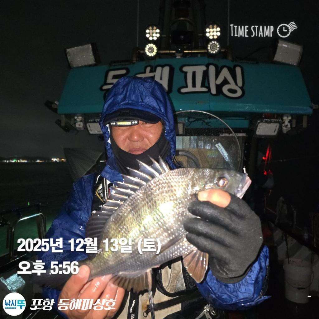 낚시뚜,감성돔,쭈꾸미,포항(운하관),포항 동해피싱호,낚시뚜4
