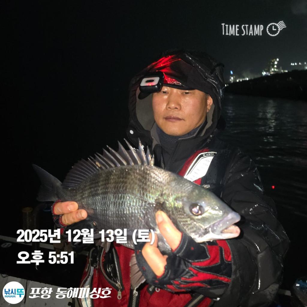 낚시뚜,감성돔,쭈꾸미,포항(운하관),포항 동해피싱호,낚시뚜2
