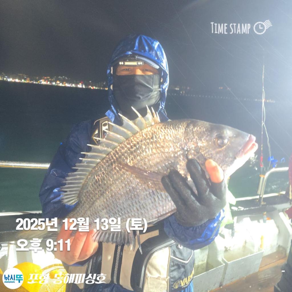 낚시뚜,감성돔,쭈꾸미,포항(운하관),포항 동해피싱호,낚시뚜0