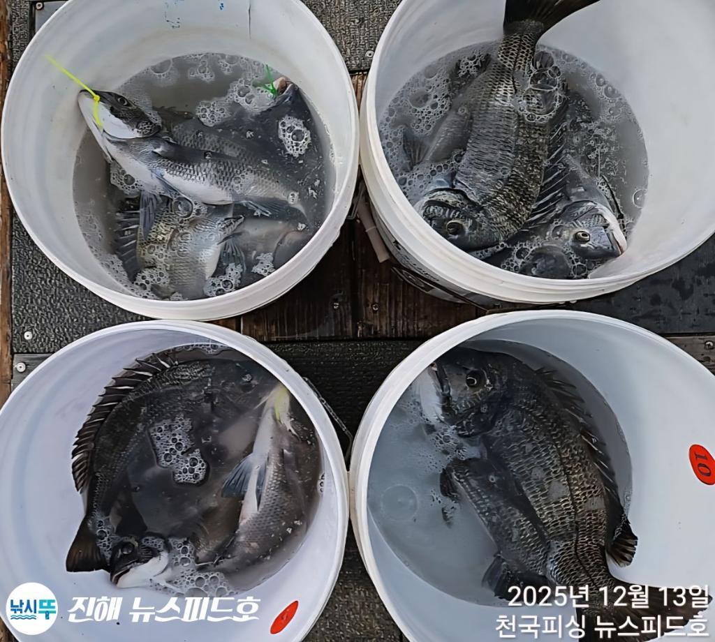 낚시뚜,,진해행암항,진해 뉴스피드호,낚시뚜21