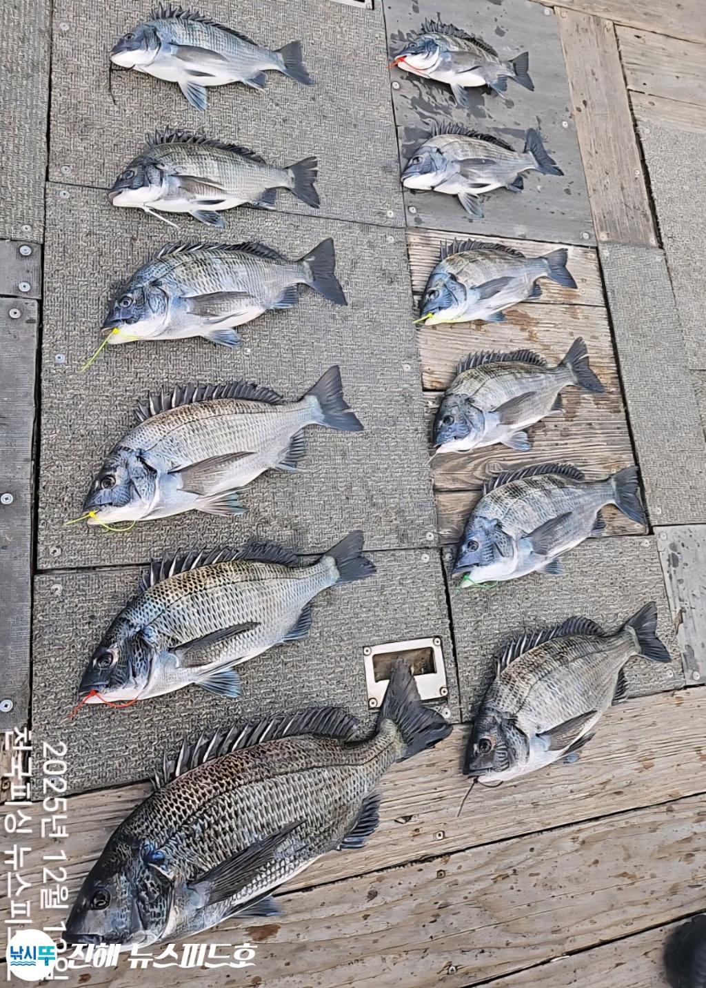 낚시뚜,,진해행암항,진해 뉴스피드호,낚시뚜14