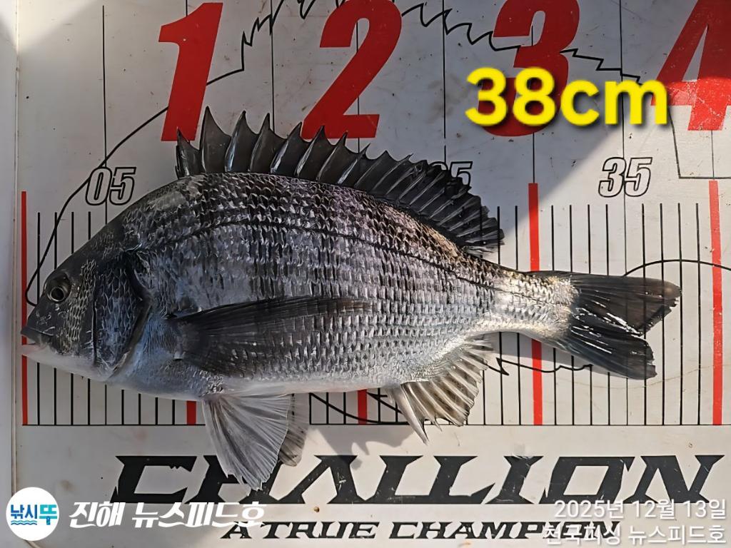 낚시뚜,,진해행암항,진해 뉴스피드호,낚시뚜11