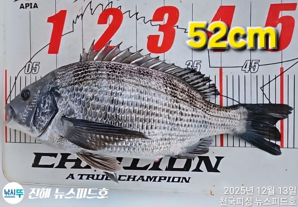 낚시뚜,,진해행암항,진해 뉴스피드호,낚시뚜6