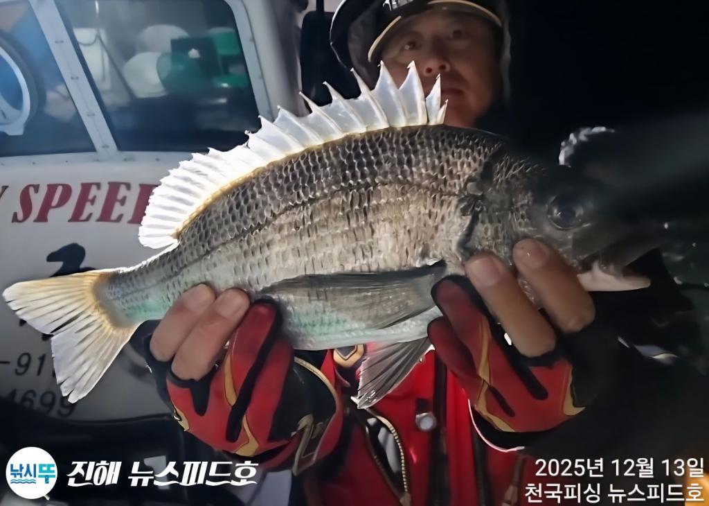 낚시뚜,,진해행암항,진해 뉴스피드호,낚시뚜2