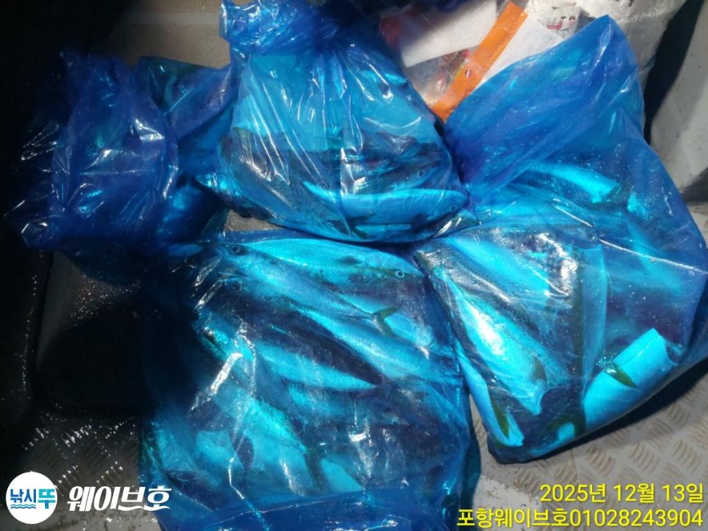 낚시뚜,방어,삼치,구룡포항,뉴웨이브호,낚시뚜11