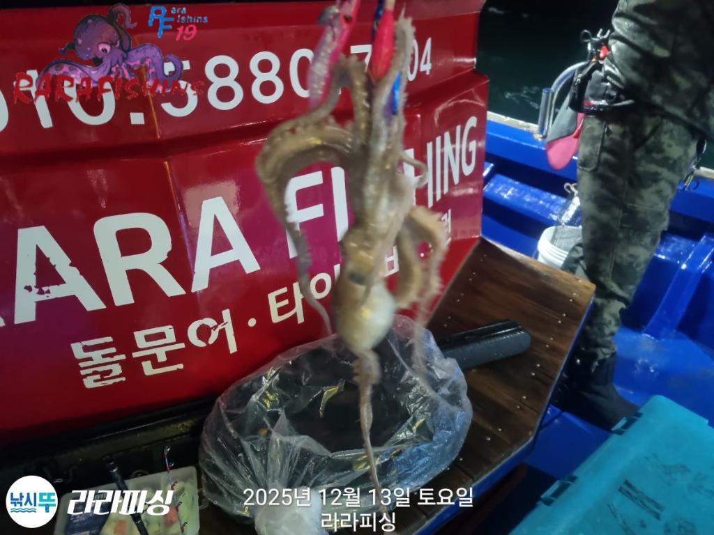 낚시뚜,낙지,속천항(진해),라라피싱,낚시뚜16