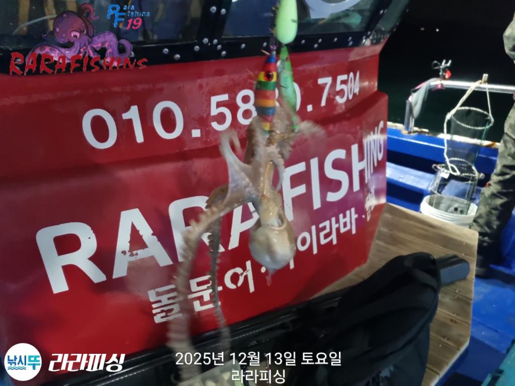 낚시뚜,낙지,속천항(진해),라라피싱,낚시뚜5