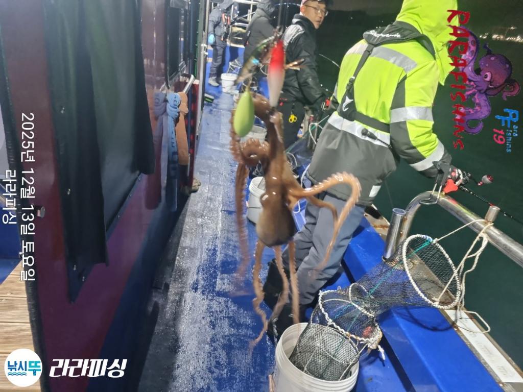 낚시뚜,낙지,속천항(진해),라라피싱,낚시뚜11