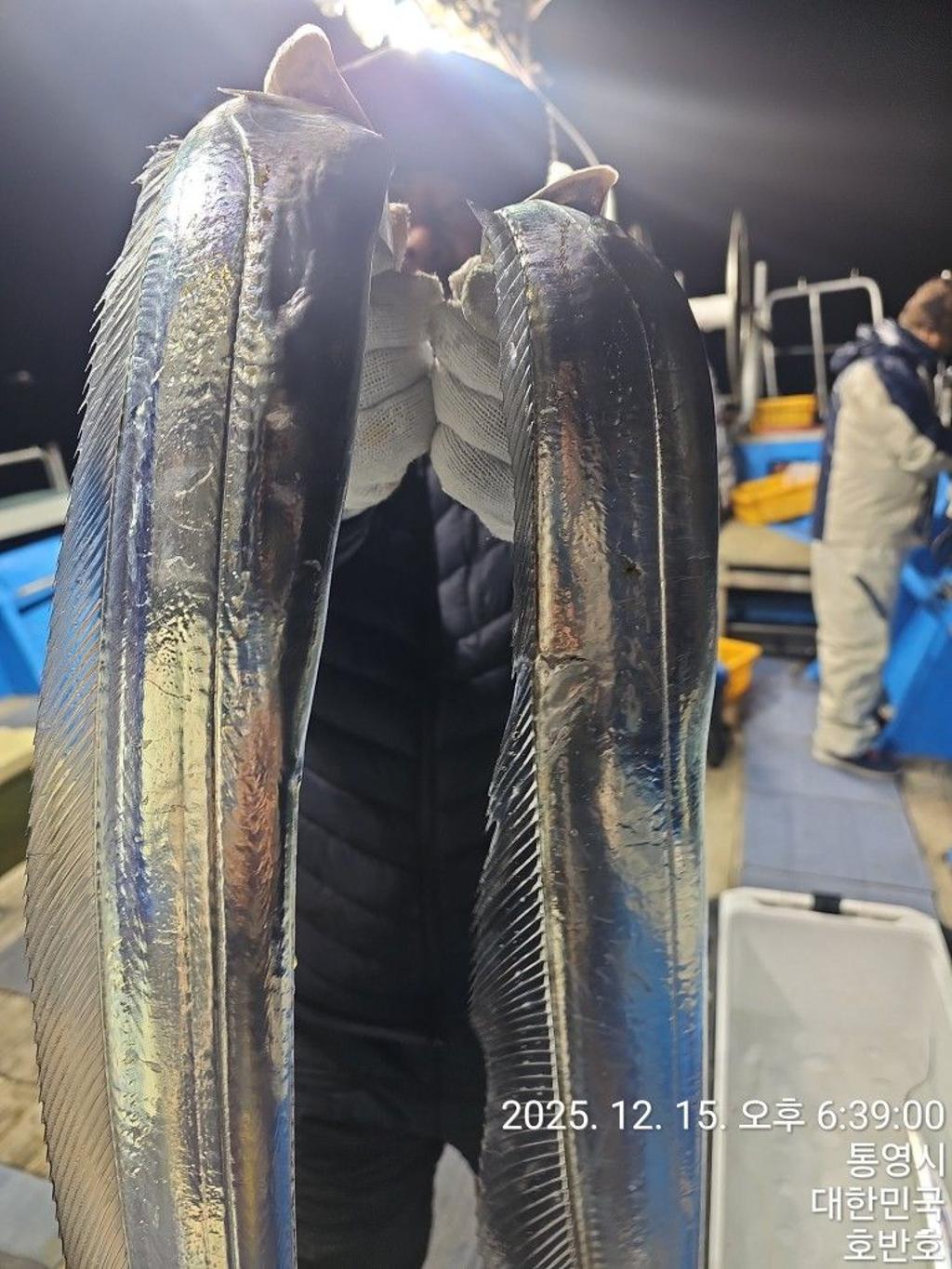 낚시뚜,갈치,통영 신전항,통영호반호,낚시뚜6