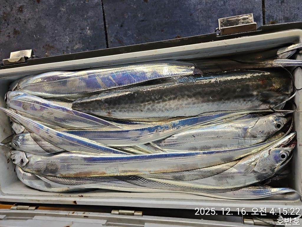 낚시뚜,갈치,통영 신전항,통영호반호,낚시뚜40