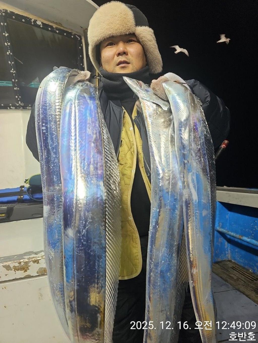 낚시뚜,갈치,통영 신전항,통영호반호,낚시뚜22