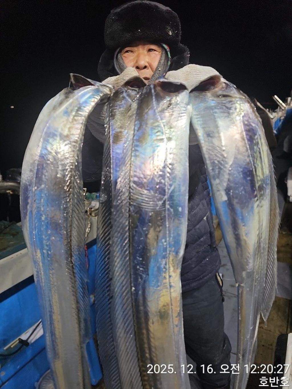 낚시뚜,갈치,통영 신전항,통영호반호,낚시뚜19