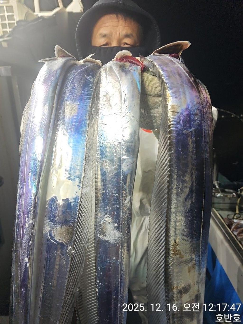 낚시뚜,갈치,통영 신전항,통영호반호,낚시뚜10