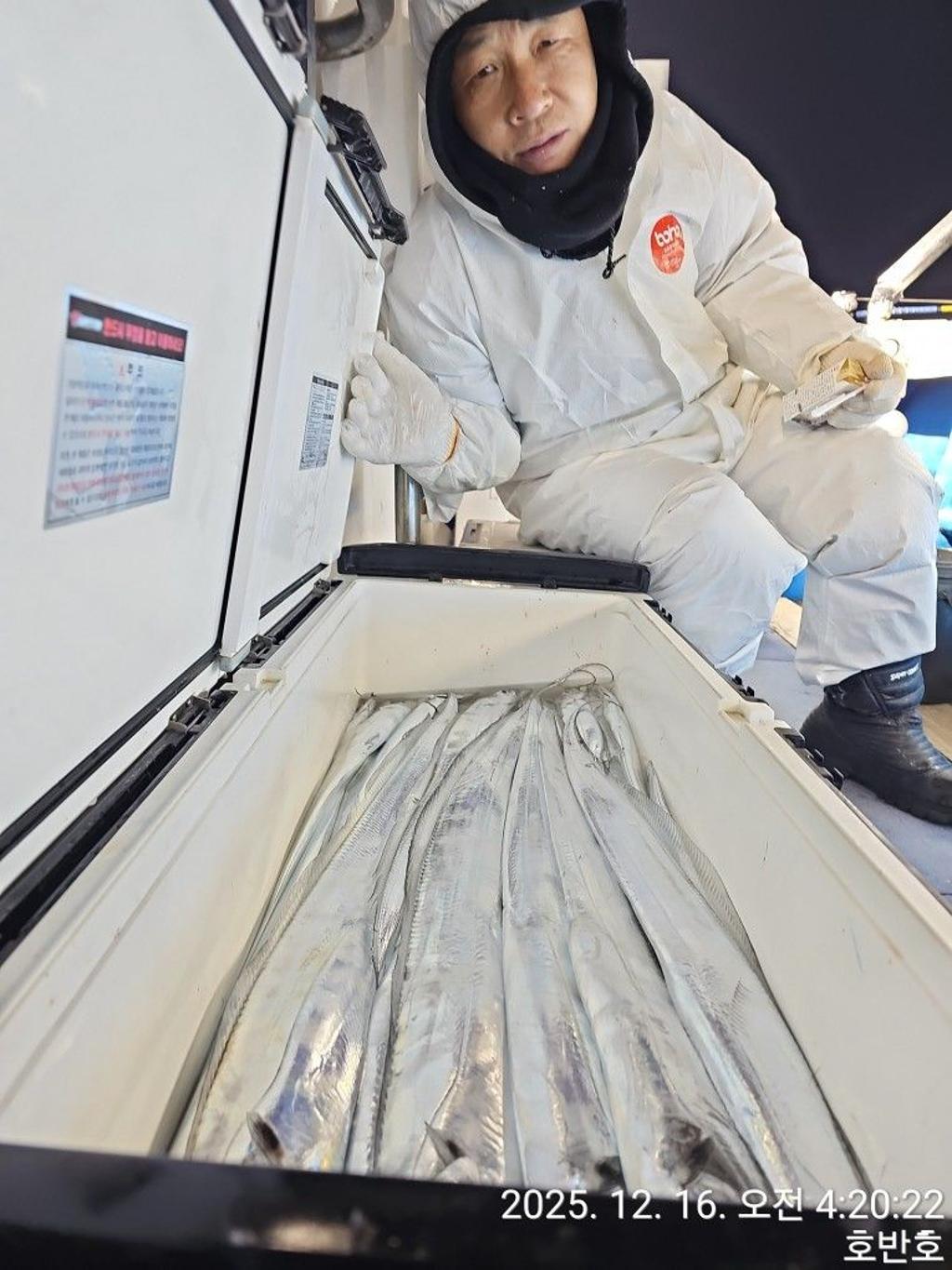 낚시뚜,갈치,통영 신전항,통영호반호,낚시뚜6