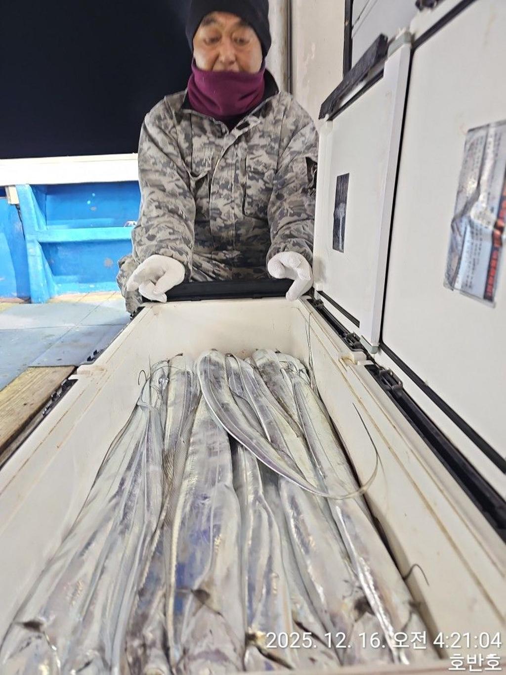 낚시뚜,갈치,통영 신전항,통영호반호,낚시뚜5