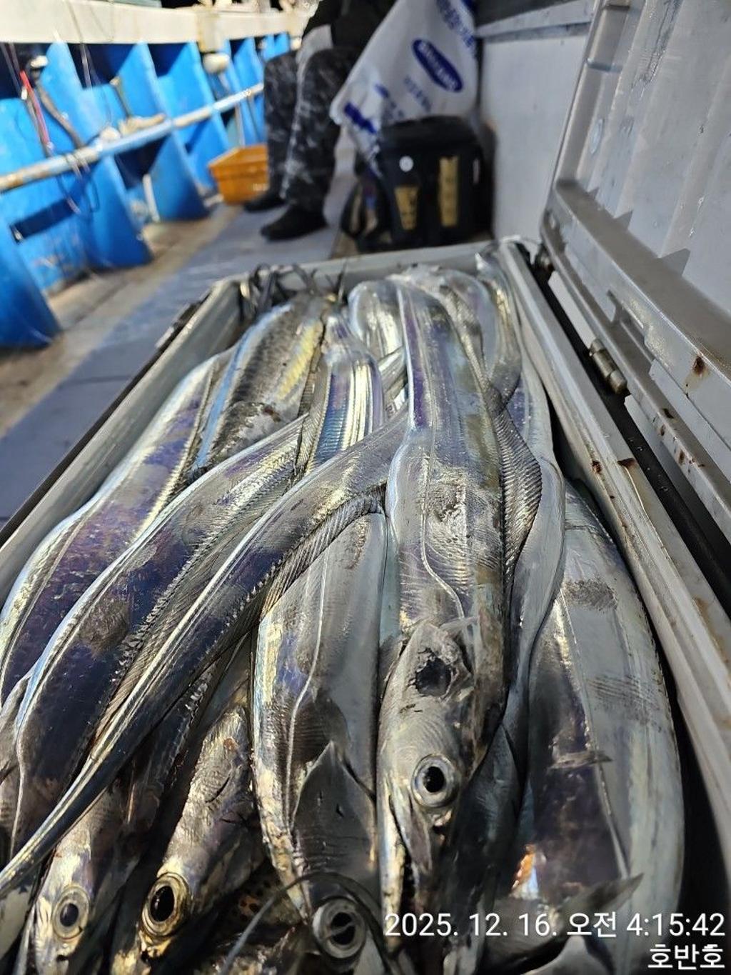 낚시뚜,갈치,통영 신전항,통영호반호,낚시뚜1