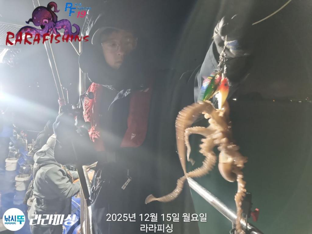 낚시뚜,낙지,속천항(진해),라라피싱,낚시뚜15