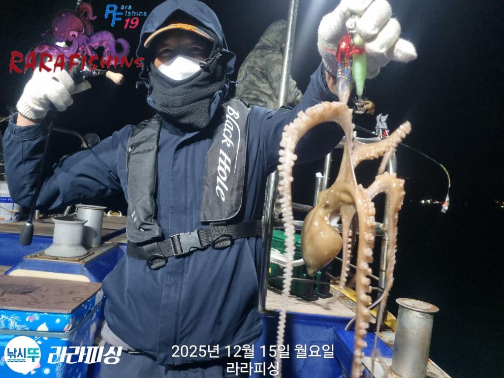 낚시뚜,낙지,속천항(진해),라라피싱,낚시뚜15