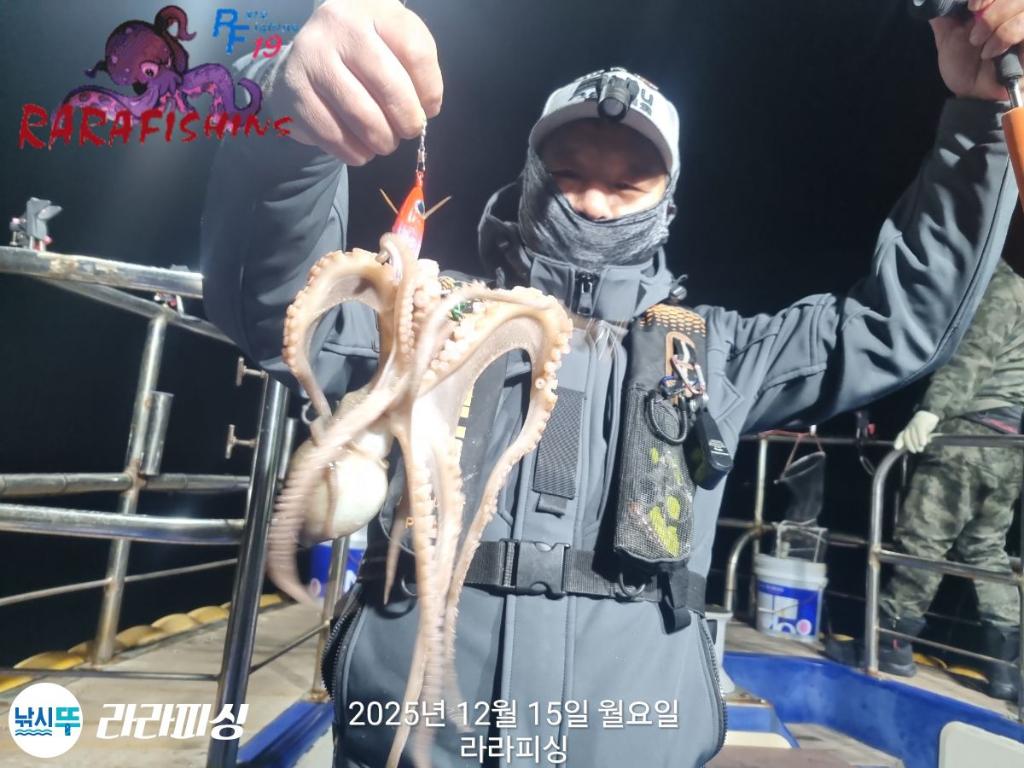 낚시뚜,낙지,속천항(진해),라라피싱,낚시뚜14