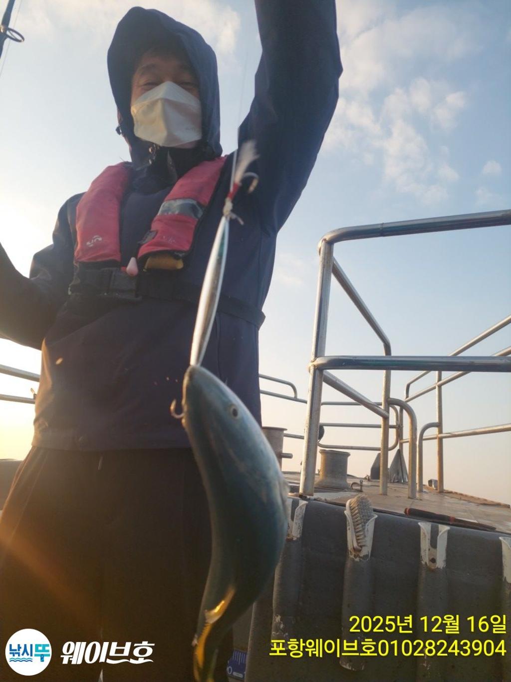 낚시뚜,방어,삼치,구룡포항,뉴웨이브호,낚시뚜7