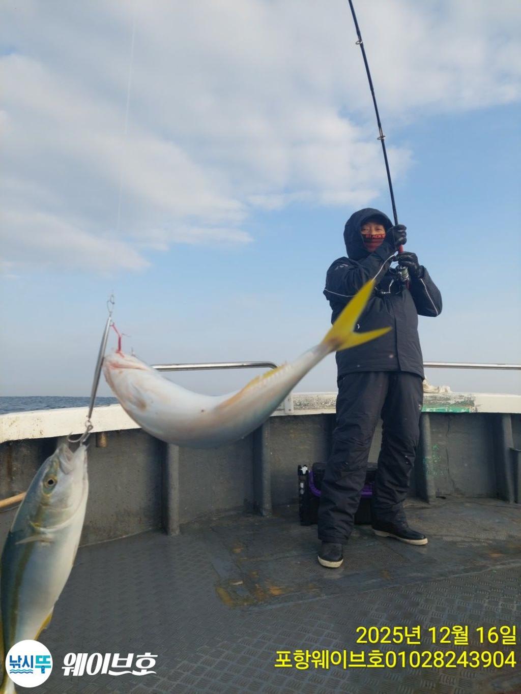 낚시뚜,방어,삼치,구룡포항,뉴웨이브호,낚시뚜0