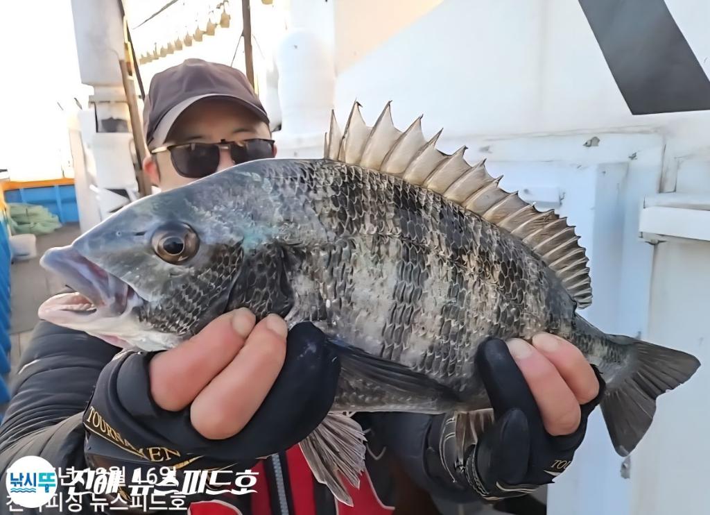 낚시뚜,감성돔,진해행암항,진해 뉴스피드호,낚시뚜11