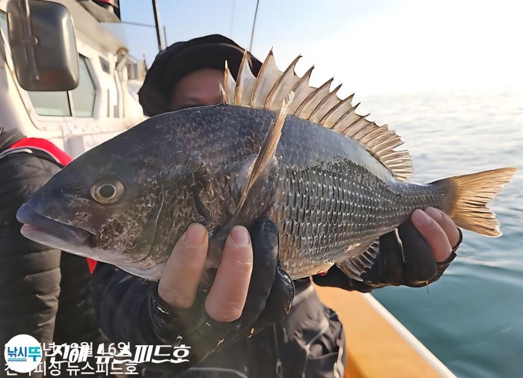 낚시뚜,감성돔,진해행암항,진해 뉴스피드호,낚시뚜8