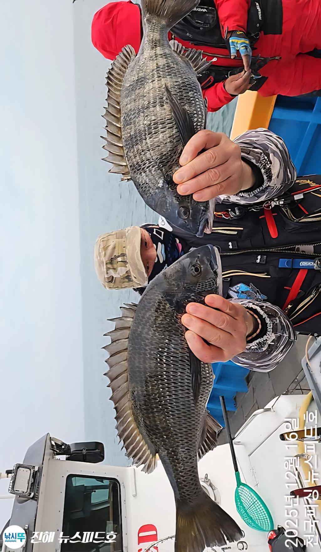 낚시뚜,감성돔,진해행암항,진해 뉴스피드호,낚시뚜6