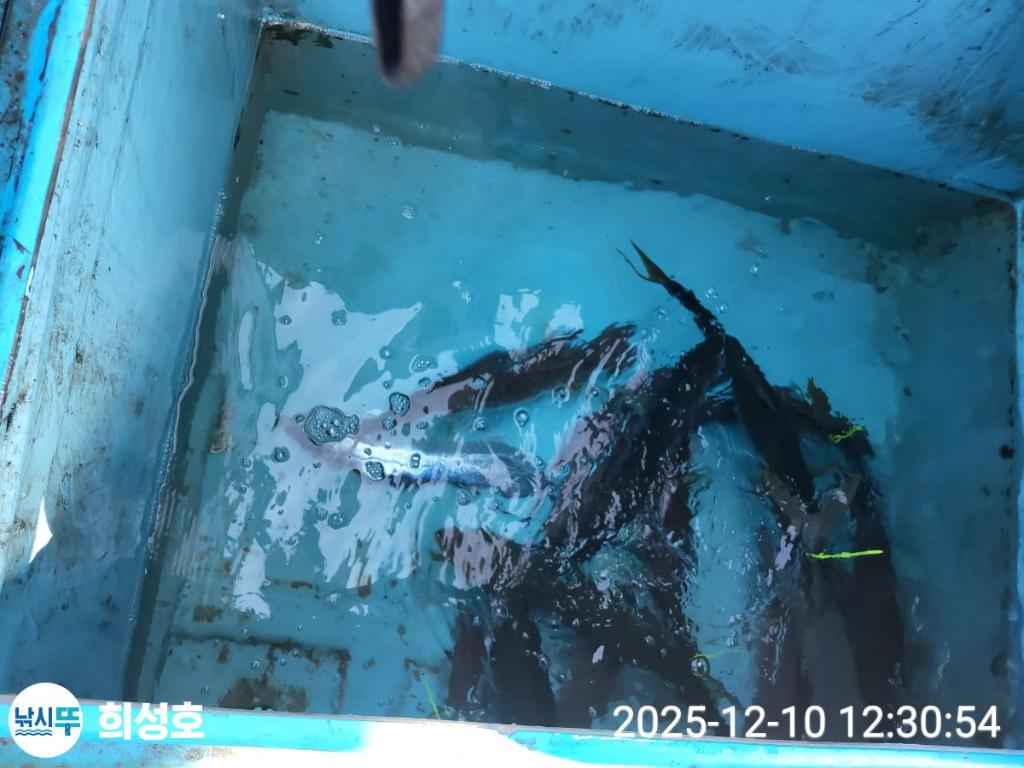 낚시뚜,방어,모슬포항,희성호,낚시뚜12