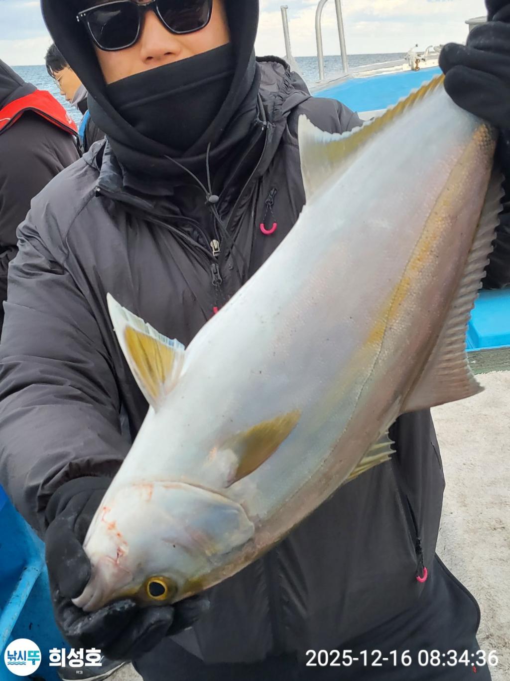낚시뚜,방어,모슬포항,희성호,낚시뚜10