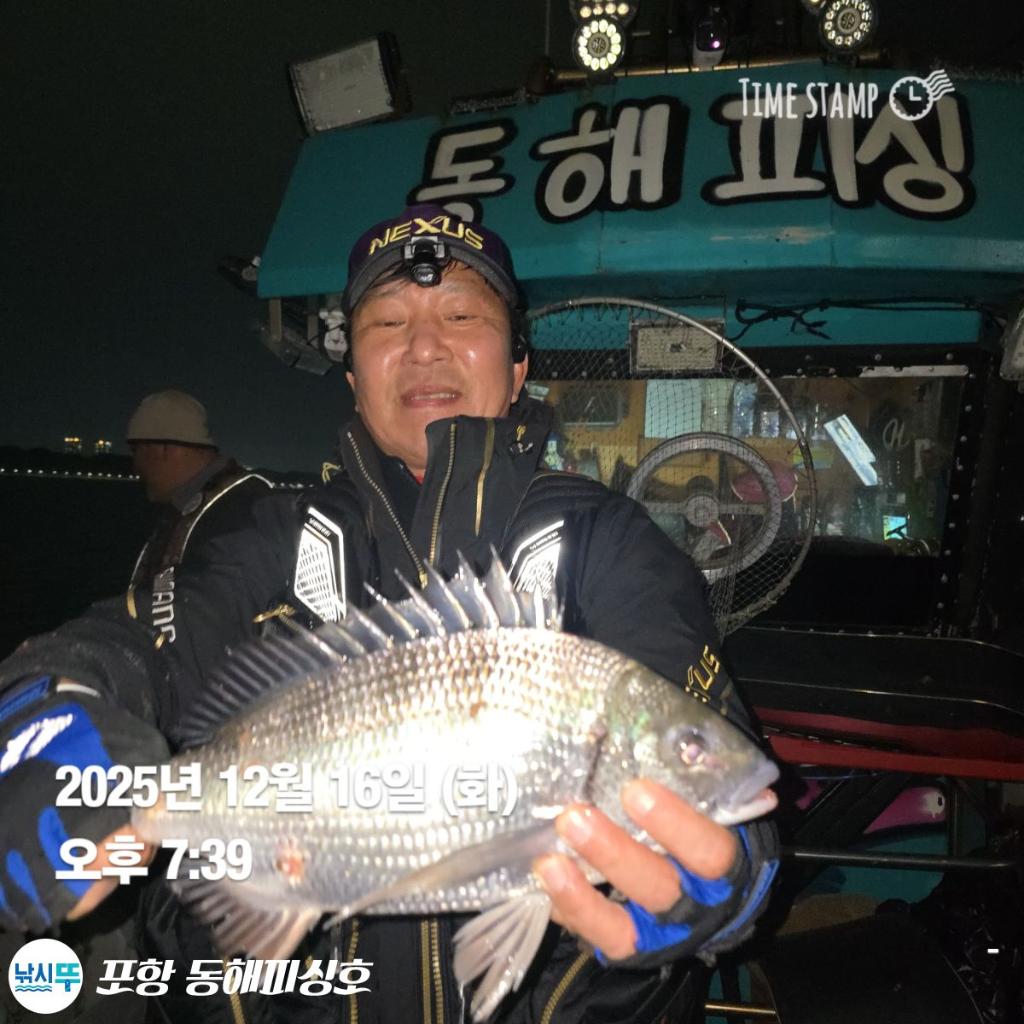낚시뚜,감성돔,포항(운하관),포항 동해피싱호,낚시뚜4