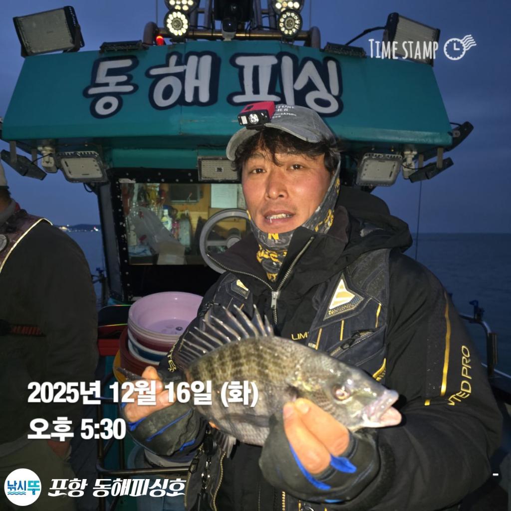 낚시뚜,감성돔,포항(운하관),포항 동해피싱호,낚시뚜2