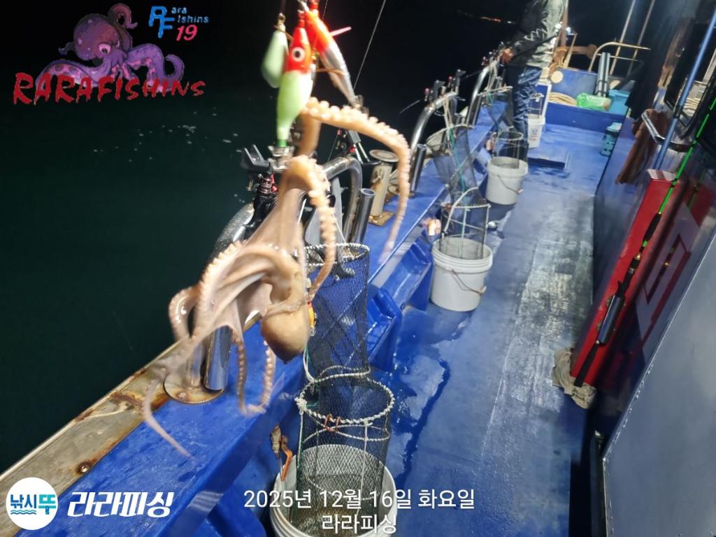 낚시뚜,낙지,속천항(진해),라라피싱,낚시뚜18