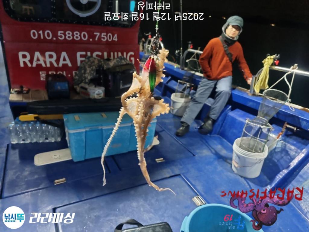 낚시뚜,낙지,속천항(진해),라라피싱,낚시뚜16
