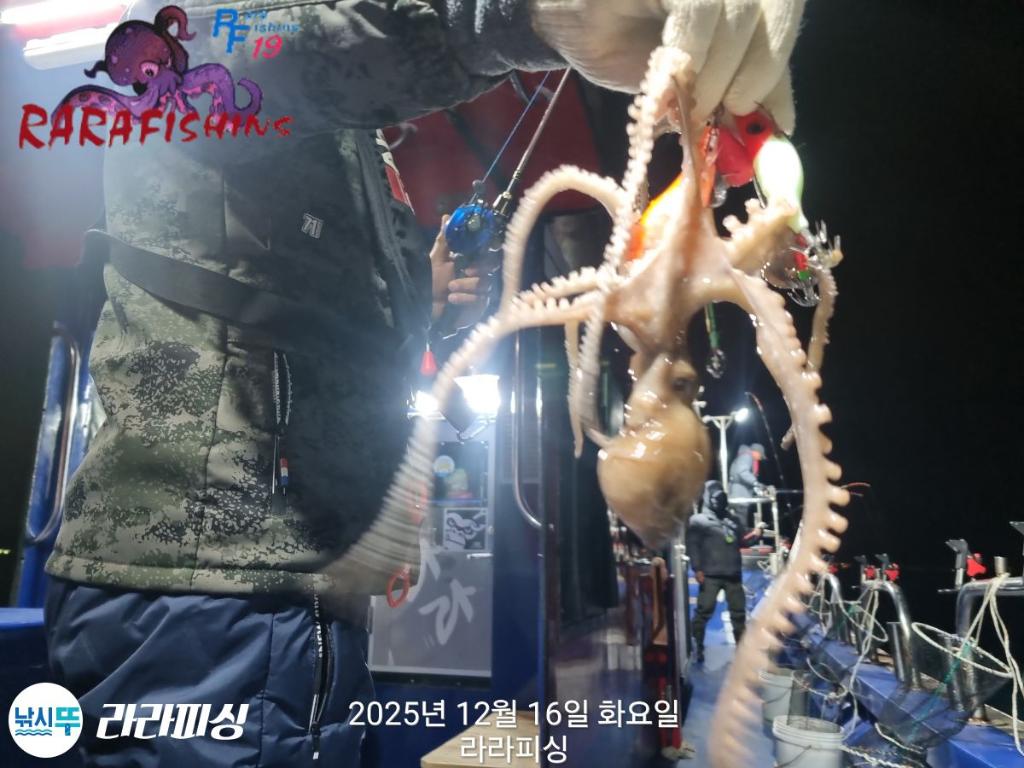 낚시뚜,낙지,속천항(진해),라라피싱,낚시뚜15