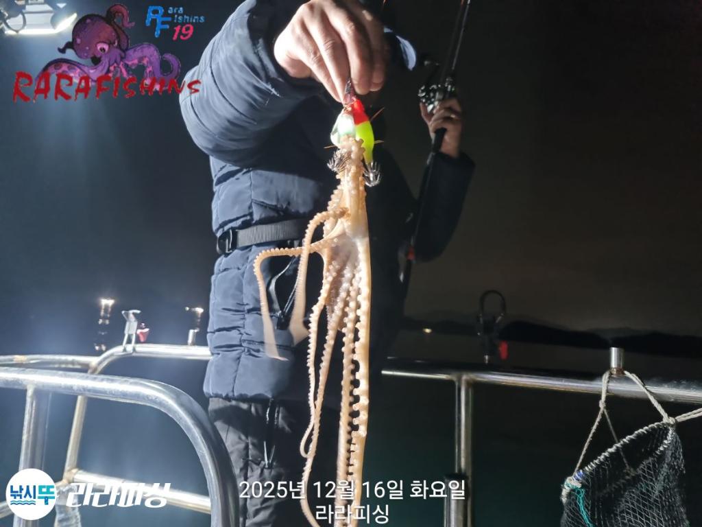 낚시뚜,낙지,속천항(진해),라라피싱,낚시뚜7