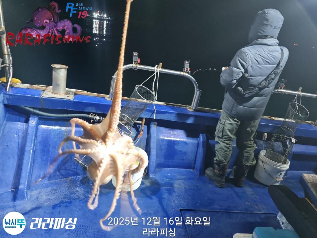 낚시뚜,낙지,속천항(진해),라라피싱,낚시뚜6