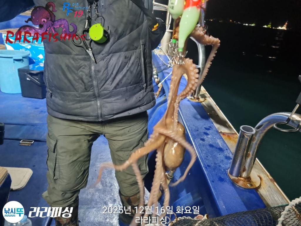 낚시뚜,낙지,속천항(진해),라라피싱,낚시뚜14