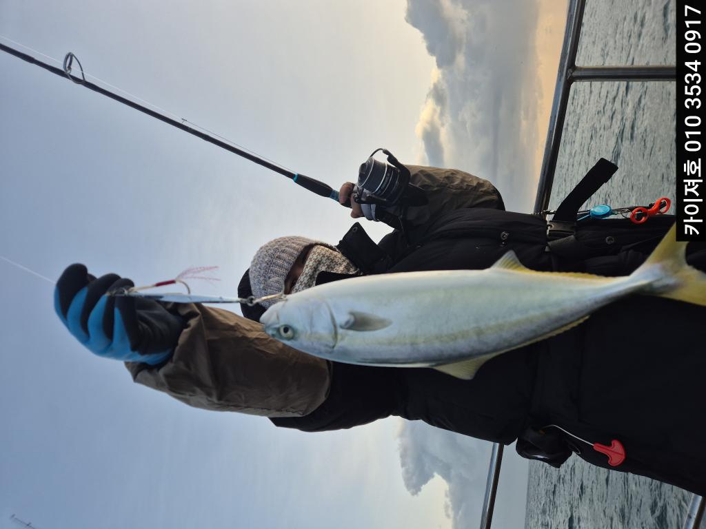 낚시뚜,방어,영일만항,포항카이져호,낚시뚜36