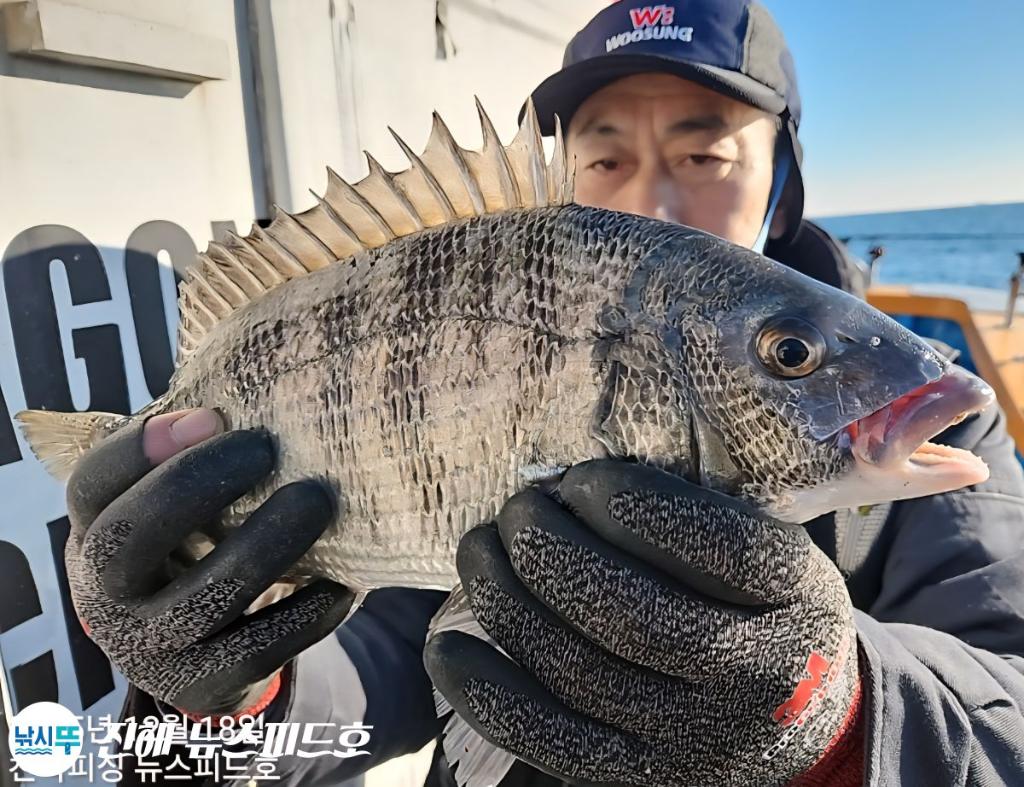 낚시뚜,감성돔,진해행암항,진해 뉴스피드호,낚시뚜4