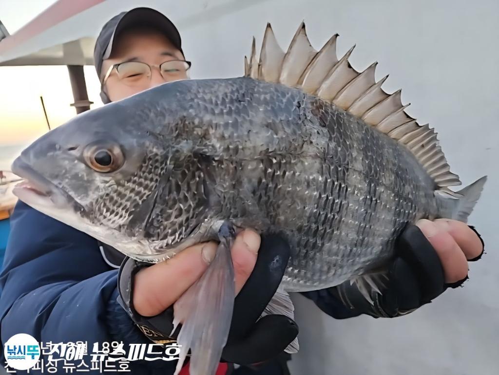 낚시뚜,감성돔,진해행암항,진해 뉴스피드호,낚시뚜3