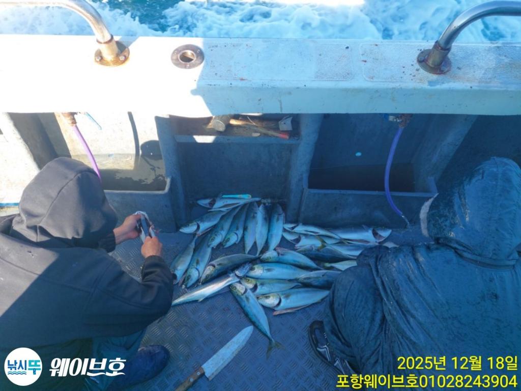 낚시뚜,방어,삼치,구룡포항,뉴웨이브호,낚시뚜11