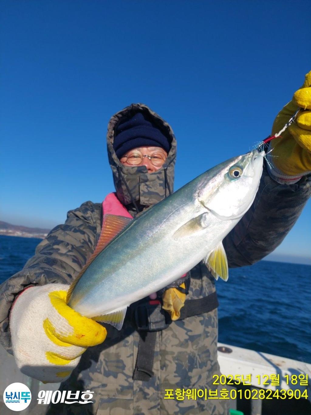 낚시뚜,방어,삼치,구룡포항,뉴웨이브호,낚시뚜8